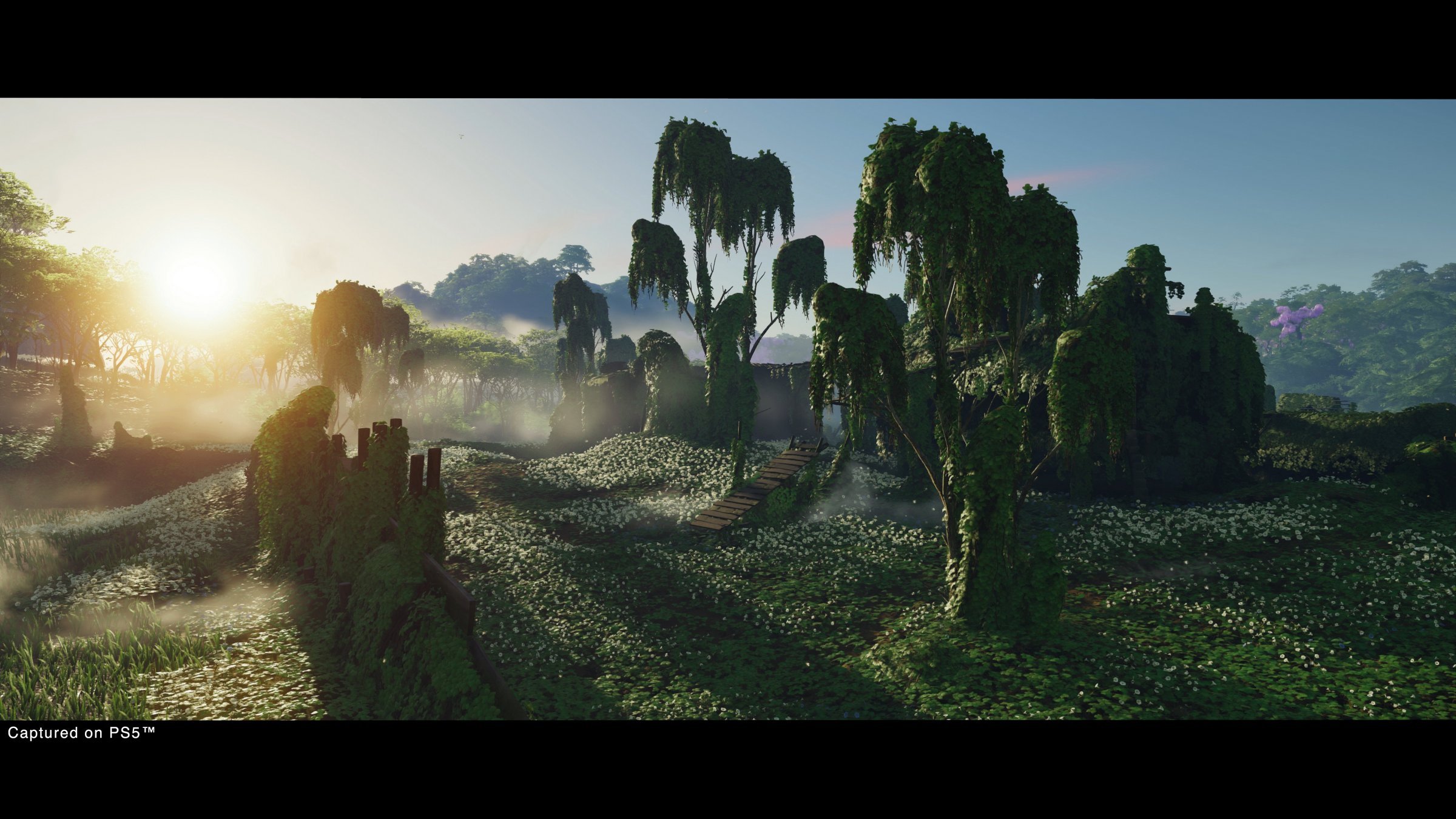 Ghost of Tsushima: Director´s Cut - Imagen 26